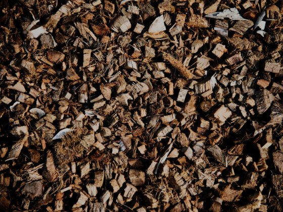 Material Biomasa Cascara Coco